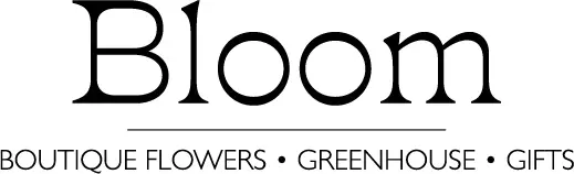 Bloom-Logo-Secondary-Black@3x-100